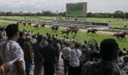 วิเคราะห์สายพันธุ์ม้า ufabet เพื่อการเดิมพันแข่งม้าอย่างมีประสิทธิภาพ